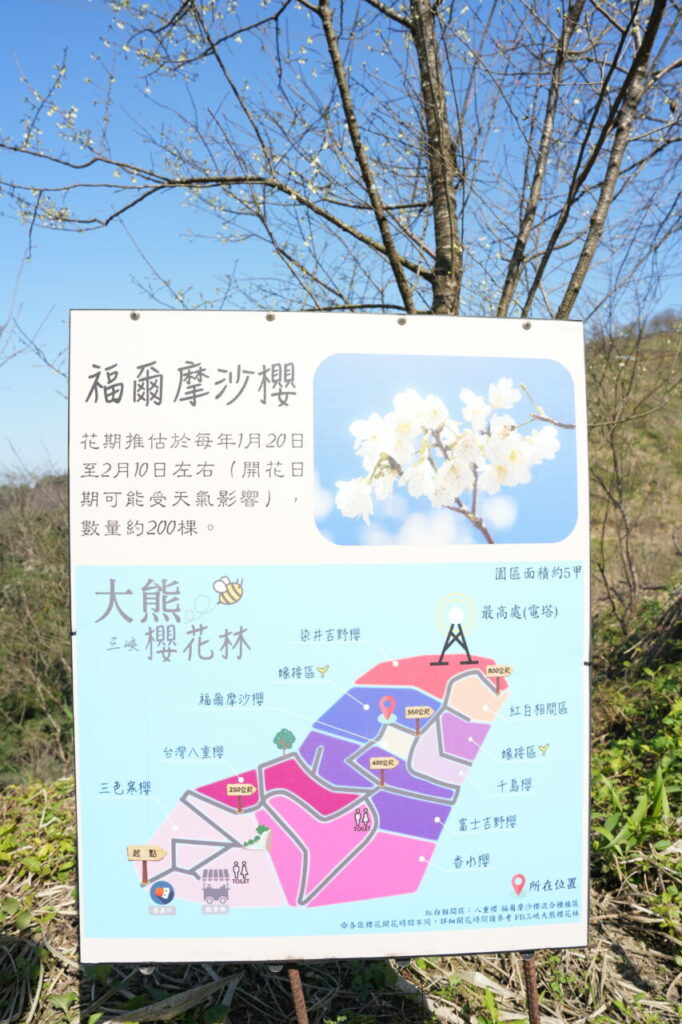 三峽大熊櫻花林-園區分佈圖